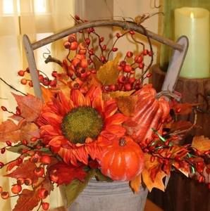 Meet your Posher, Dianne